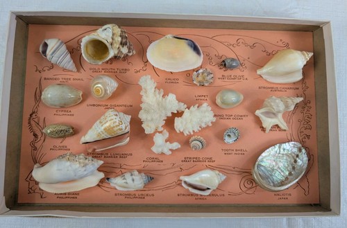 Vintage box set sea - box,