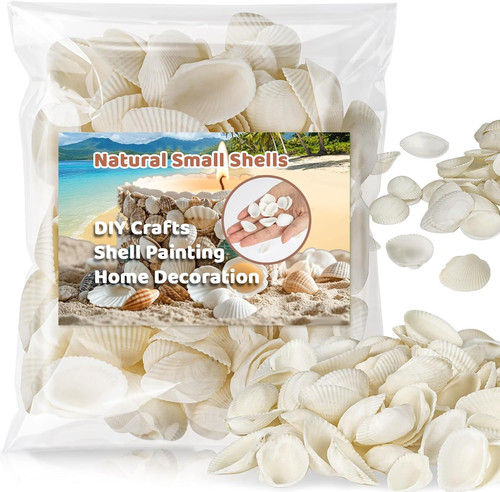 Pcs white sea shells - white,