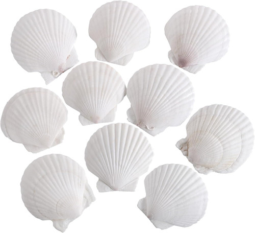 Pcs inch natural white - 4-5,